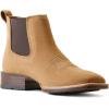 ARIAT Sport Booker Ultra(Dijon Suede)