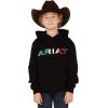 Ariat Men’s Hooded Sweatshirt(Black)