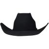 ARIAT Added Money 2X Wool Cowboy Hat with Hand-Creased Brim(Black)