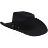 ARIAT Added Money 2X Wool Cowboy Hat with Hand-Creased Brim(Black)