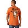 ARIAT Men’s Buckaroo T-Shirt, Buckhorn(Adobe Heather/Rattler Skull)