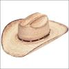 ARIAT Mens Fired Palm Leaf Western Hat(Brown)