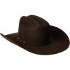 ARIAT Mens Wool Punchy Crown Cowboy Brim 2 Cord Band Western Hat(Chocolate)
