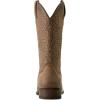 ARIAT Sting Western Boots(Dark Tan)