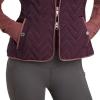 ARIAT Women’s Ashley Vest(Mulberry Brown)