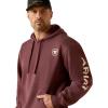 ARIAT mens Ariat Logo Hoodie(Ombre)