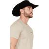 Ariat Men’s Graphic T-Shirt(Khaki Heather/Zuni Flag)