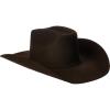 ARIAT Added Money 2X Wool Cowboy Hat with Hand-Creased Brim(Chocolate)