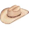 ARIAT Mens Fired Palm Leaf Western Hat(Brown)