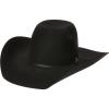 ARIAT Mens Wool Punchy Crown Cowboy Brim 2 Cord Band Western Hat(Black)