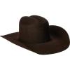ARIAT Mens Wool Punchy Crown Cowboy Brim 2 Cord Band Western Hat(Chocolate)