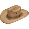 Ariat COSTUME_HEADWEAR Ariat Mens Fired Palm SS Crown & Brim Copper Eyelet Western Hat (7)(Copper brown)