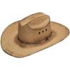 Ariat COSTUME_HEADWEAR Ariat Mens Fired Palm SS Crown & Brim Copper Eyelet Western Hat (7)(Dark Brown)