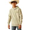 Ariat Youth Boy’s Blue Logo Hoodie(Sage Heather)