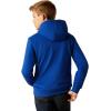 ARIAT boys Breakthru Hoodie(Surf the Web)